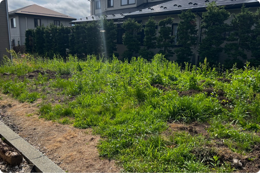 施工事例01 ビフォー